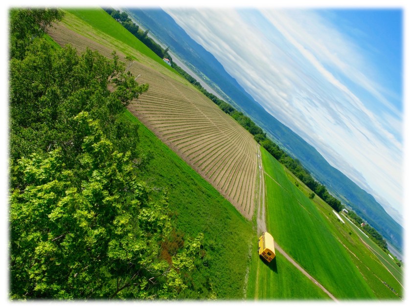 Vue de la tour d'observation St-François, Ile d'Orléans, Québec