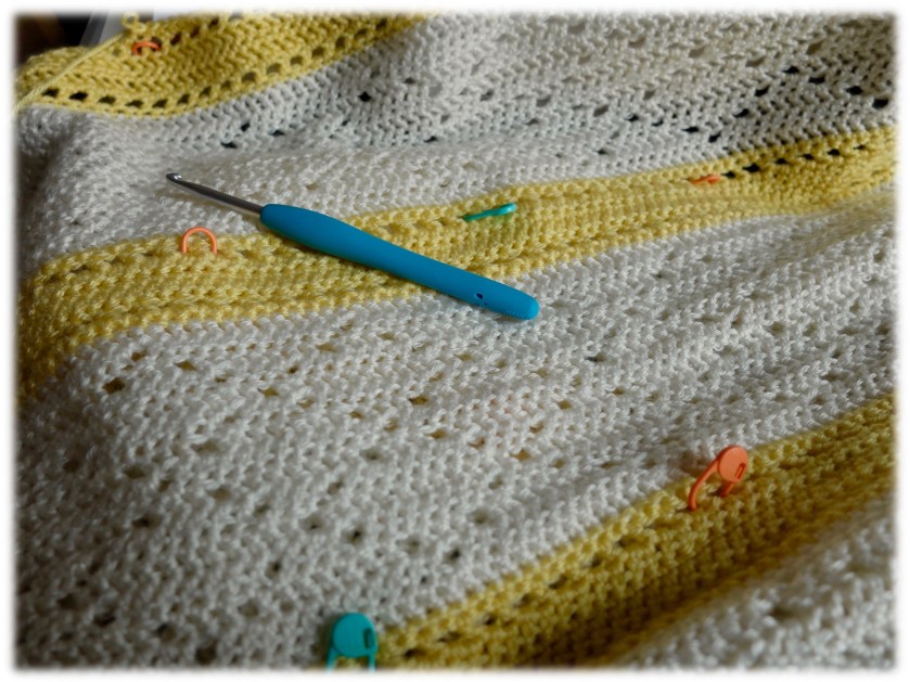 Travail en cours - Couverture Lazy Daisy